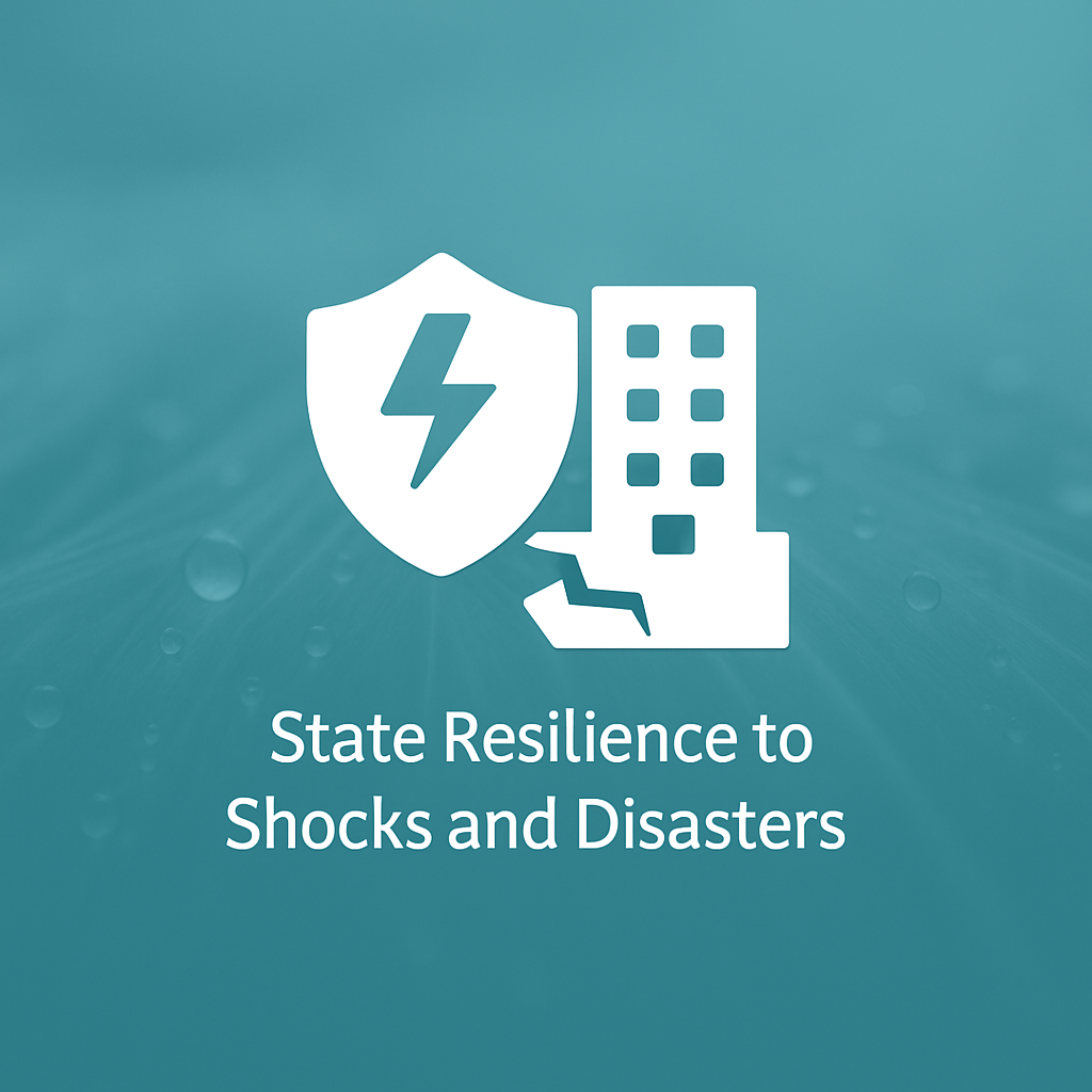 State Resilience to Shocks and Disasters