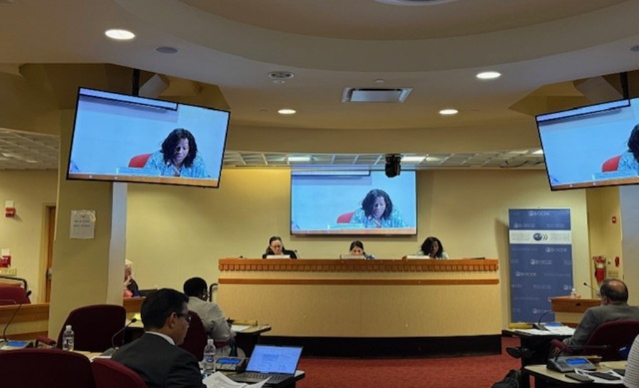 APRM Champions Knowledge Sharing and Peer Learning amongst African and European partners at HLPF 2025 3.jpg