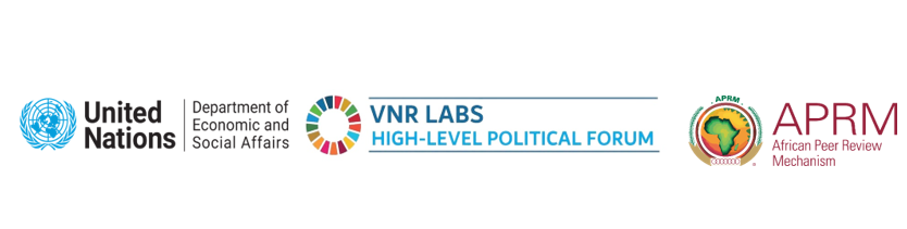 APRM-UNDESA VNR Lab - Strategic Planning and Foresight for Fulfilling Financial Gaps of Agenda 2063 and SDGs_0.png