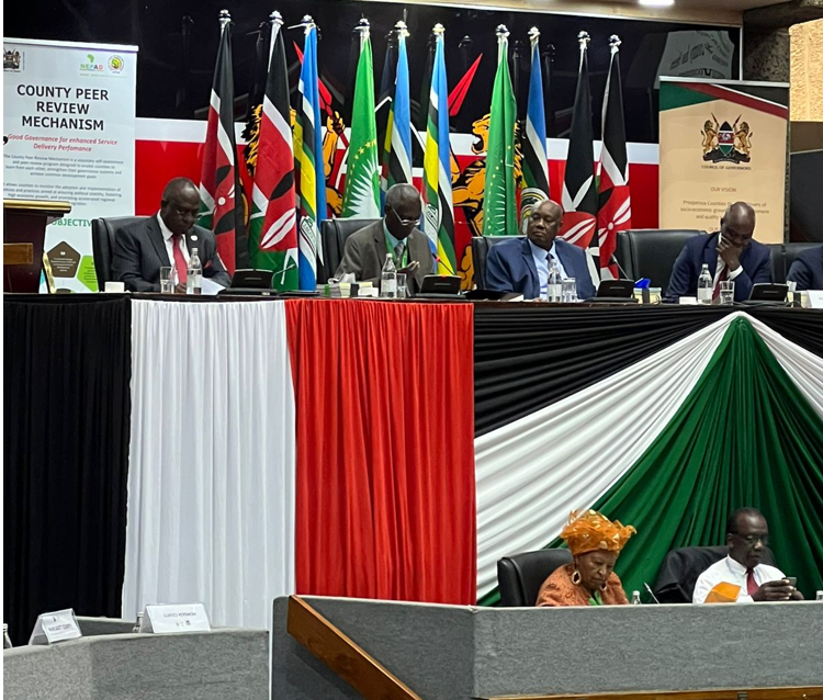 Kenya hosts Summit of County Review Mechanism