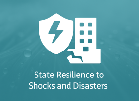 State Resilience to Shocks and Disasters