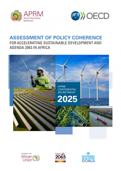 ASSESSMENT OF POLICY COHERENCE