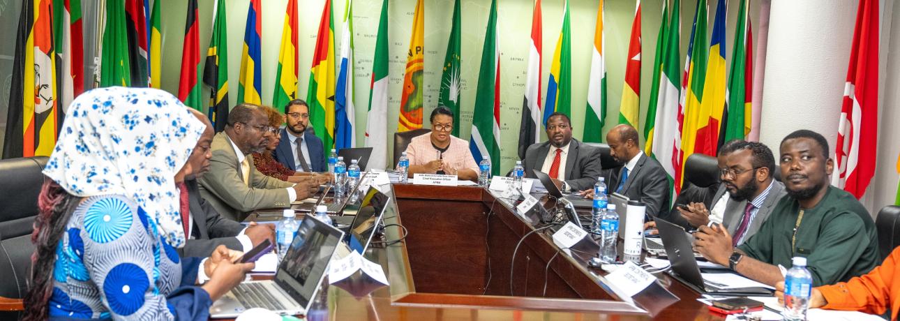  39th Ordinary Session of the APR Focal Points Committee