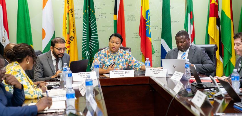 Strengthening Africa’s Governance Through the APRM - Reinforcing National Secretariats.jpeg