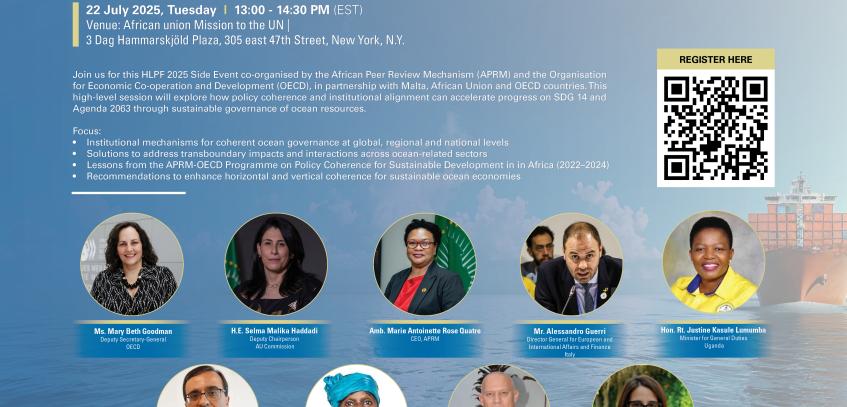 HLPF APRM High Level Meeting